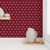 ibizan hound standing pure breed dog fabric ruby