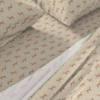 ibizan hound standing pure breed dog fabric tan