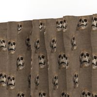 skulls everywhere - brown