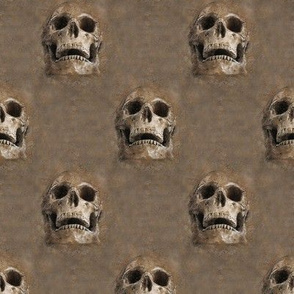 skulls everywhere - brown