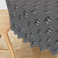 skulls everywhere - dark gray
