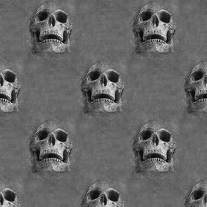 skulls everywhere - dark gray