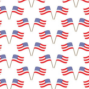 Patriotic Heroes Stars and Stripes Collection 8