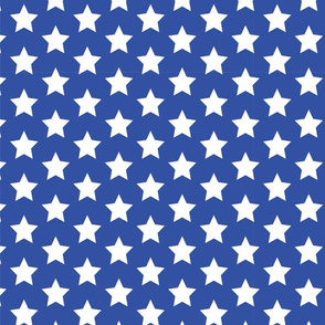 Patriotic Heroes Stars and Stripes Collection 6