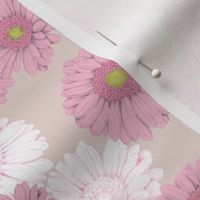 Retro Gerbera in pink