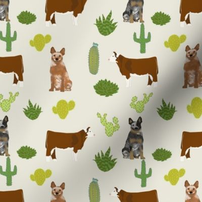 red and blue heeler australian cattle dogs with cattle and cacti