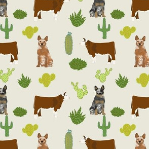 red and blue heeler australian cattle dogs with cattle and cacti