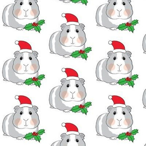 christmas guinea-pigs-with-santa-hats-and-holly