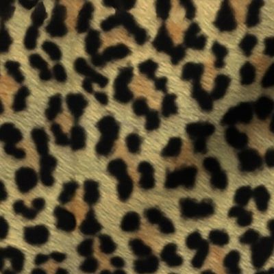 painted mega leopard 2018