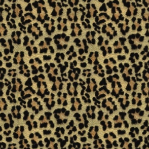 painted mega leopard 2018