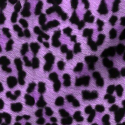 painted mega leopard 2018 violet