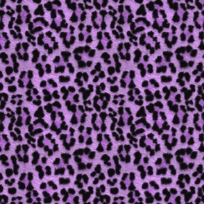 painted mega leopard 2018 violet
