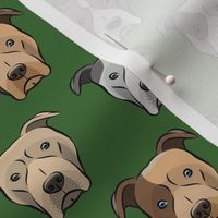 pit bull faces on pine