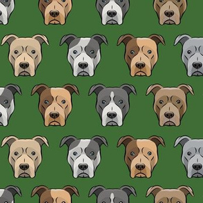 pit bull faces on pine