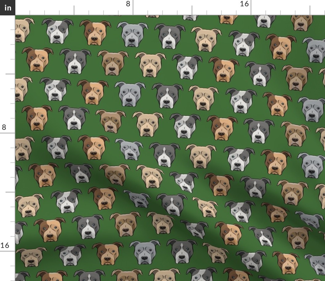 pit bull faces on pine