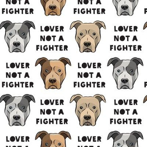 lover not a fighter pit bull on white