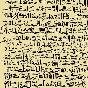 Egyptian Script on Papyrus // Large
