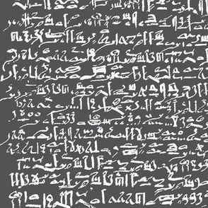 Egyptian Script on Charcoal // Large