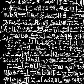 Egyptian Script on Black // Large
