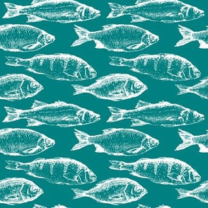 Fish Sketches on Teal // Large