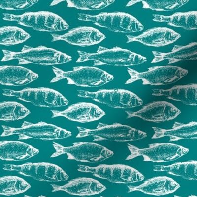Fish Sketches on Teal // Small