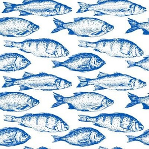 Fish Sketches in Blue // Large