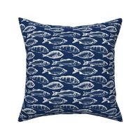 Fish Sketches on Navy // Large