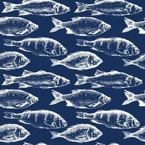 Fish Sketches on Navy // Large
