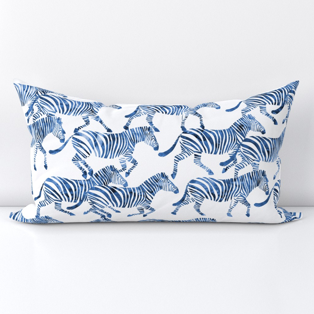 zebras in blue