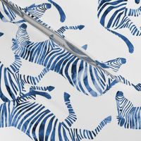 zebras in blue