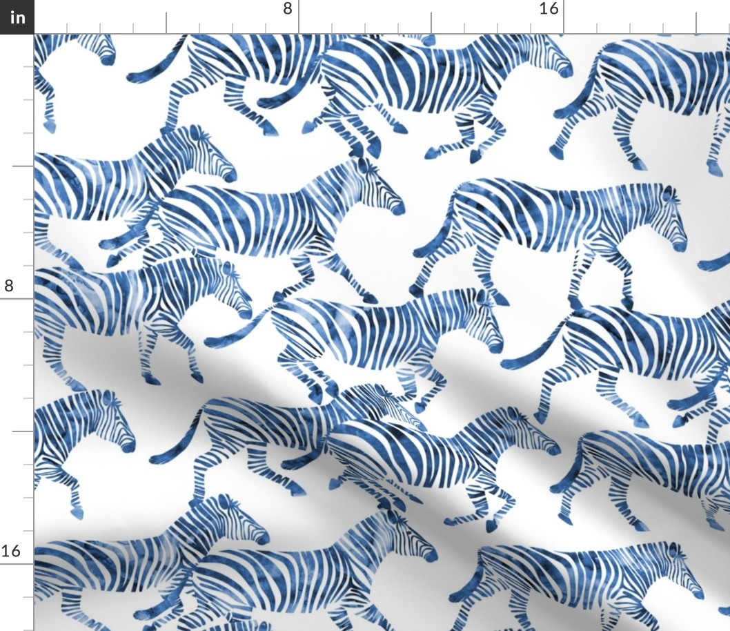 zebras in blue