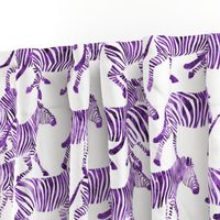 zebras in purple