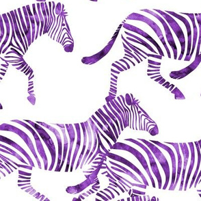 zebras in purple