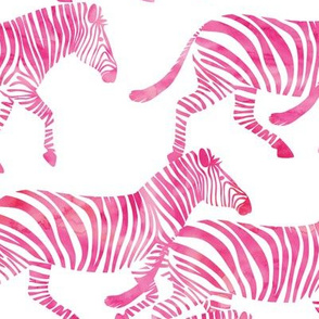 zebras in pink