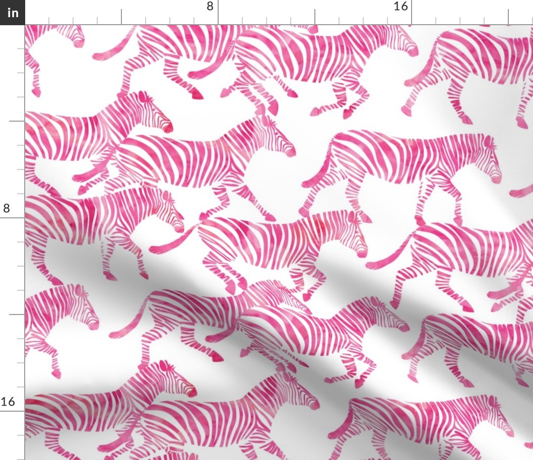 zebras in pink