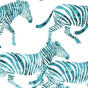 zebras in teal