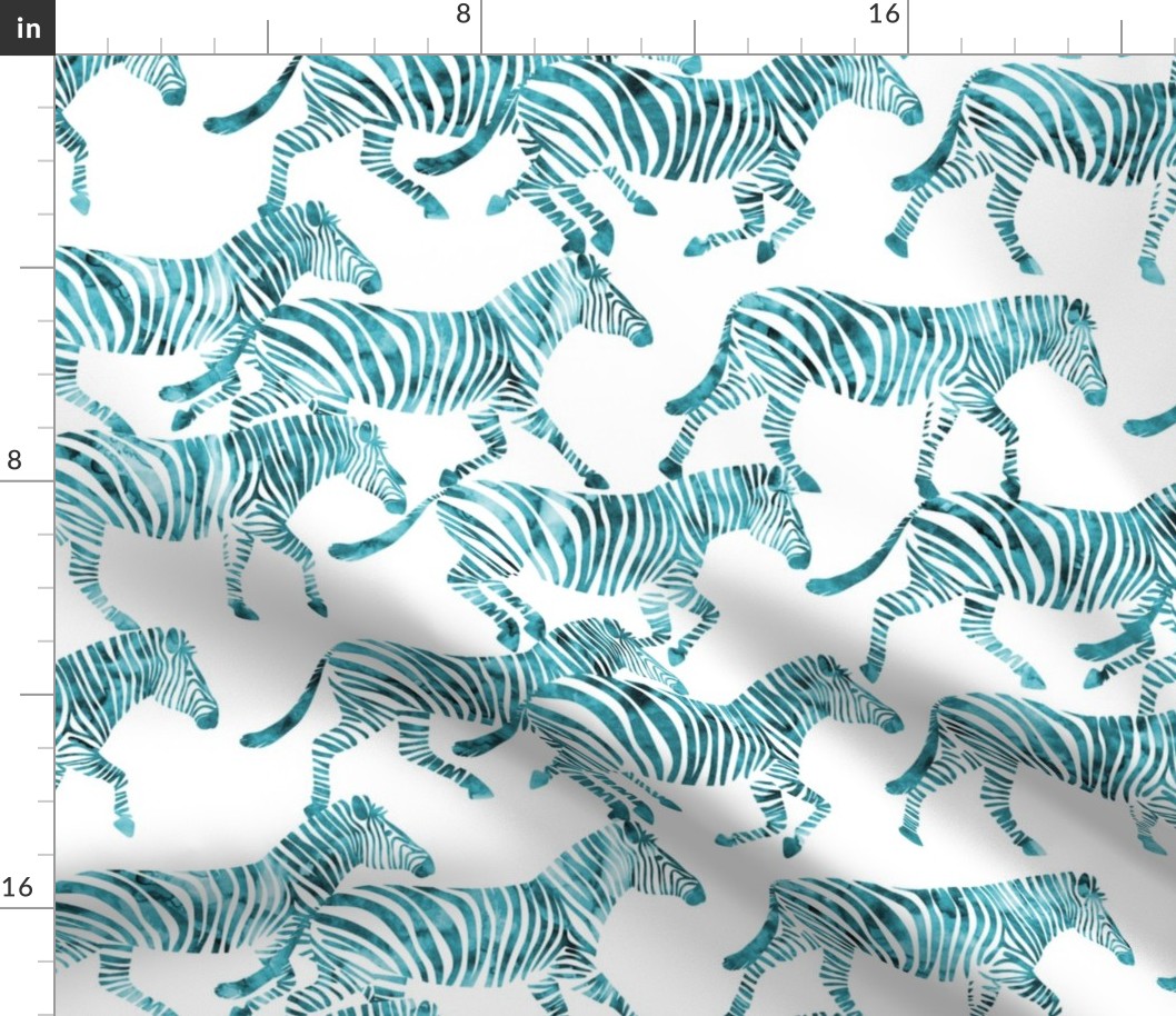 zebras in teal