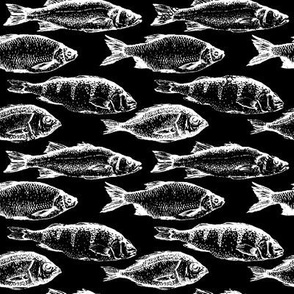 Fish Sketches on Black // Large