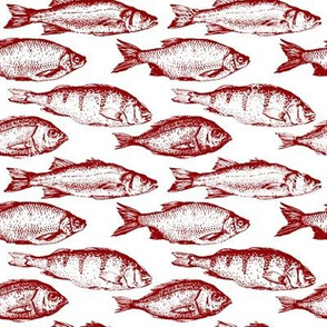 Fish Sketches in Red // Large