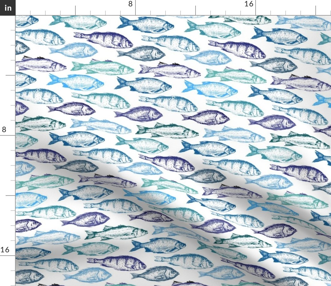 Fish Sketches in Blue Shades // Large