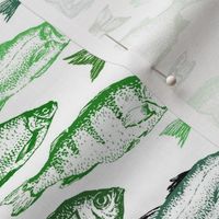 Fish Sketches in Green Shades // Large