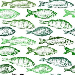 Fish Sketches in Green Shades // Large