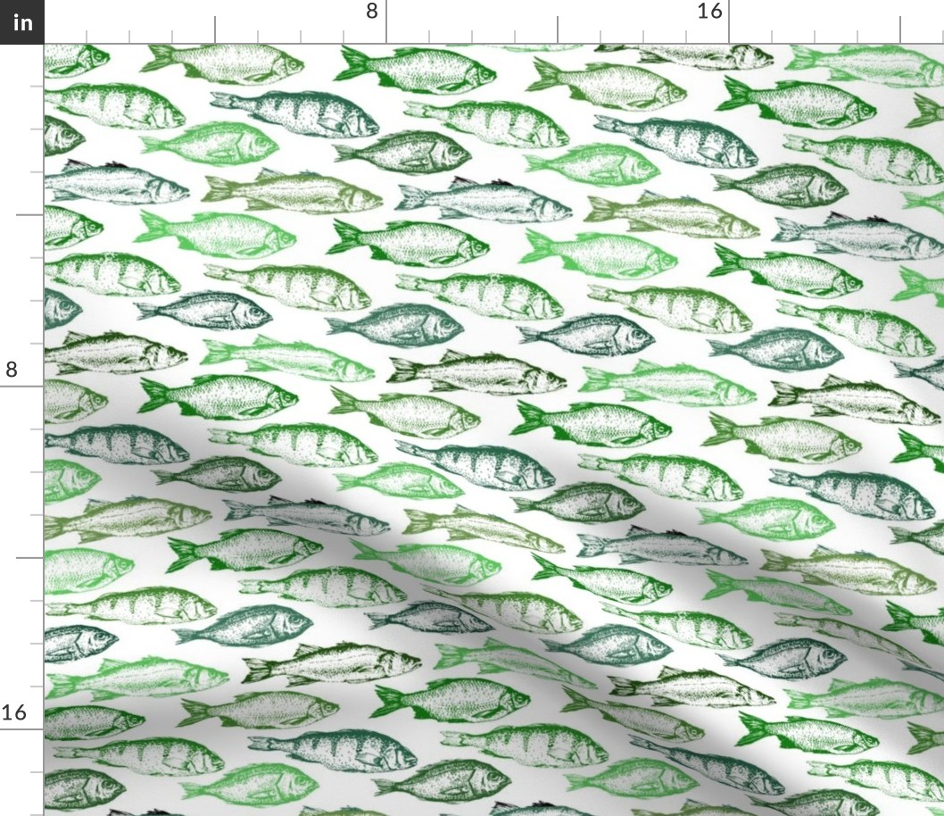 Fish Sketches in Green Shades // Large