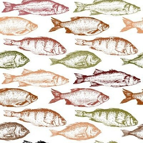 Fish Sketches in Red Shades // Large