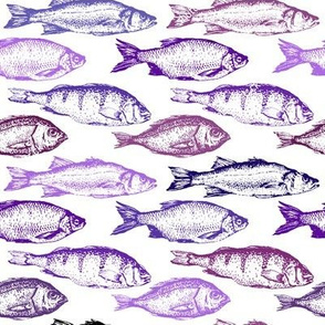 Fish Sketches in Purple Shades // Large