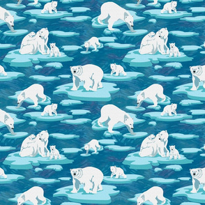 Polar Bears meet on the ice 50 
