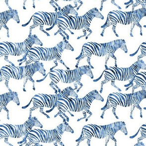 (small scale) zebras in blue