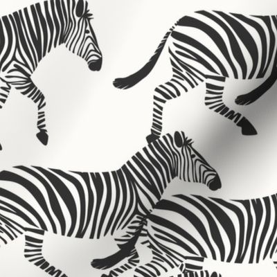 zebras