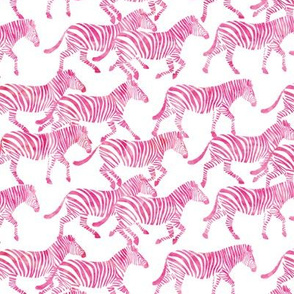 (small scale) zebras in pink