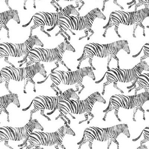 (small scale) zebras on the move